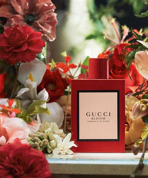 gucci bloom perfume di fiori|gucci bloom perfume collection.